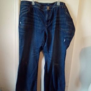 Old Navy plus distressed jeans size 28